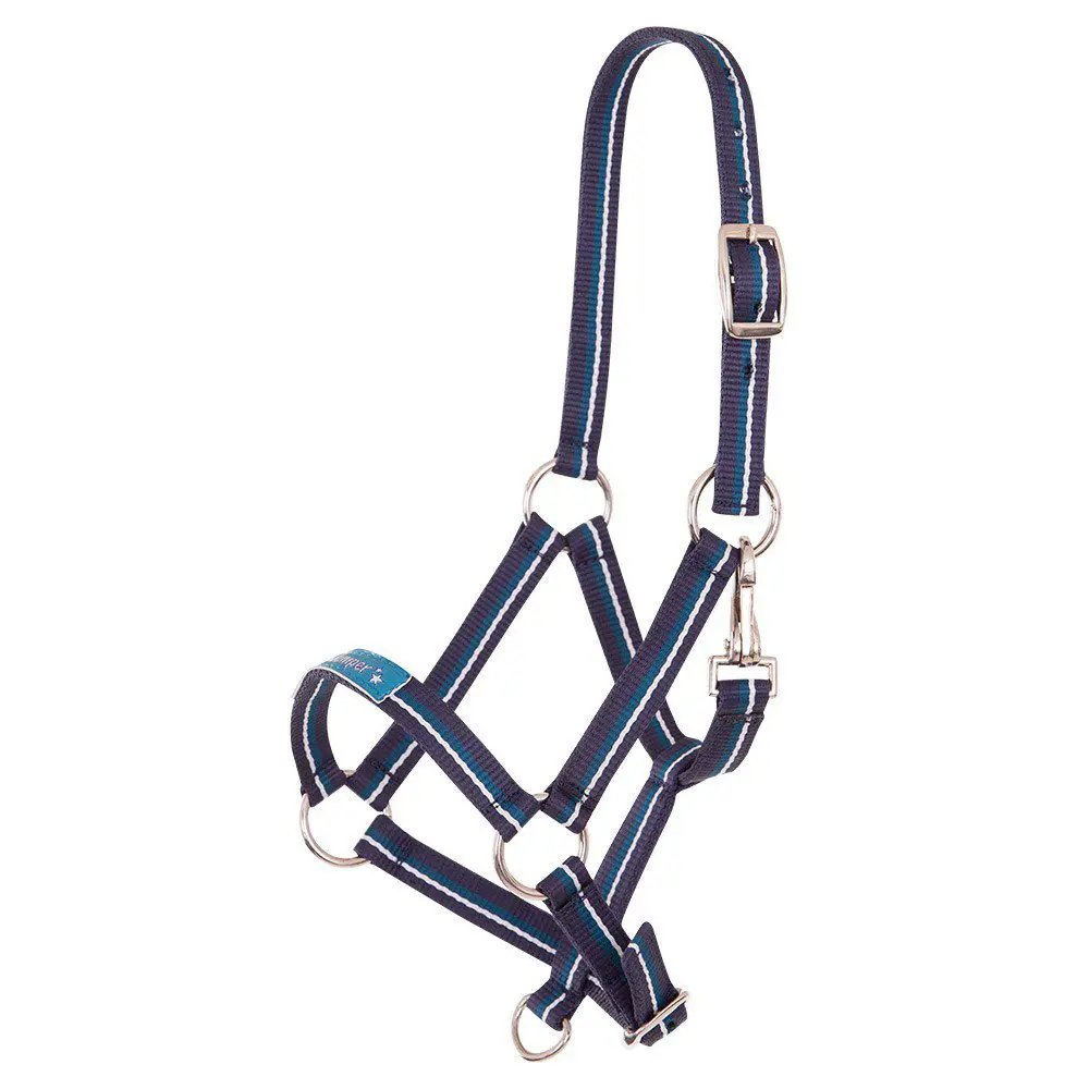 Premiere halster veulen - Afbeelding 11