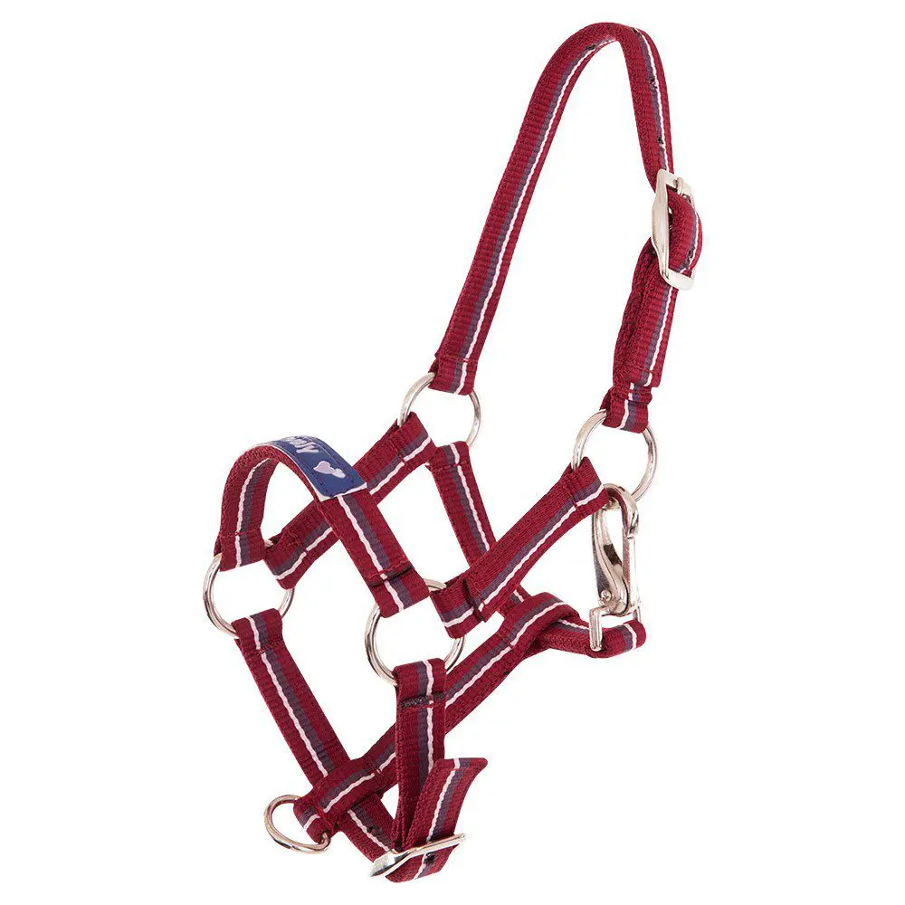 Premiere halster veulen - Afbeelding 7