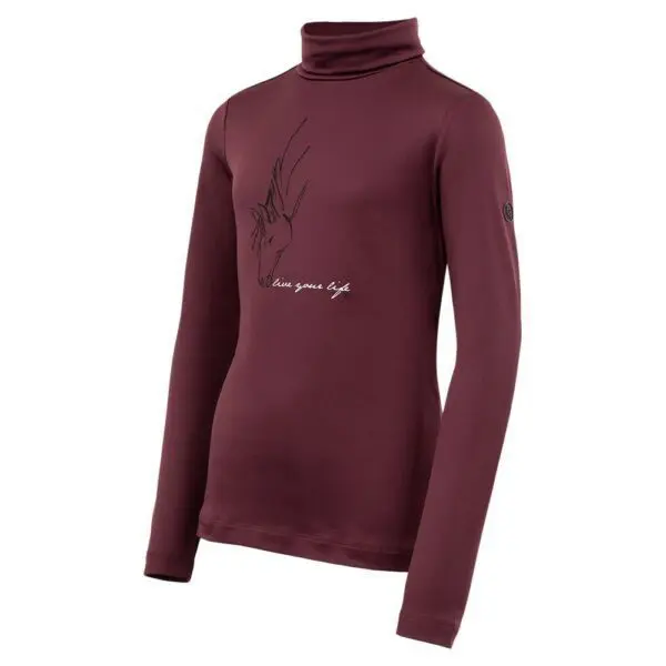 BR Zip-Up Pullover 4 EH Shawn