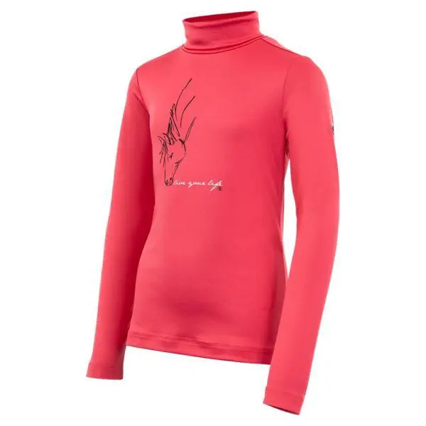 BR Zip-Up Pullover 4 EH Shawn - Afbeelding 2