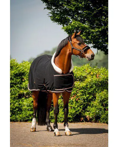 HB Polar Dutch Crown Europe - Afbeelding 2