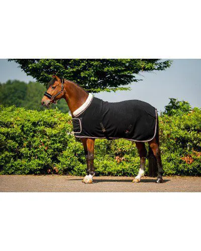 HB Polar Dutch Crown Europe - Afbeelding 3