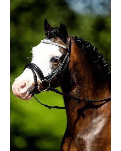 HB hoofdstel little sizes 312