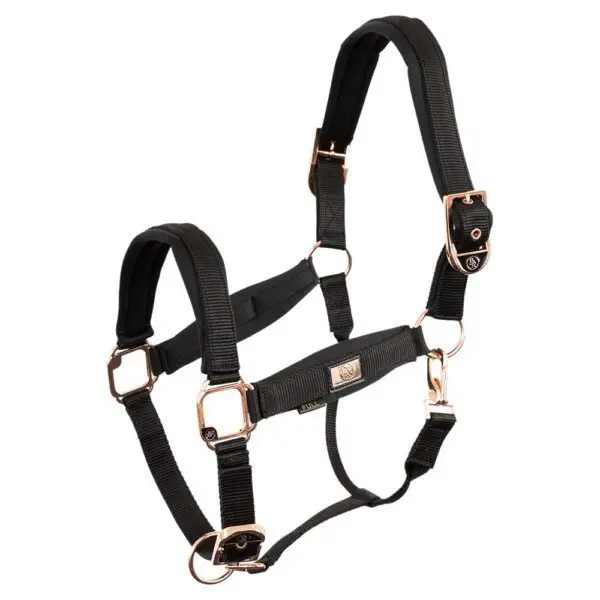 BR halster rosegold