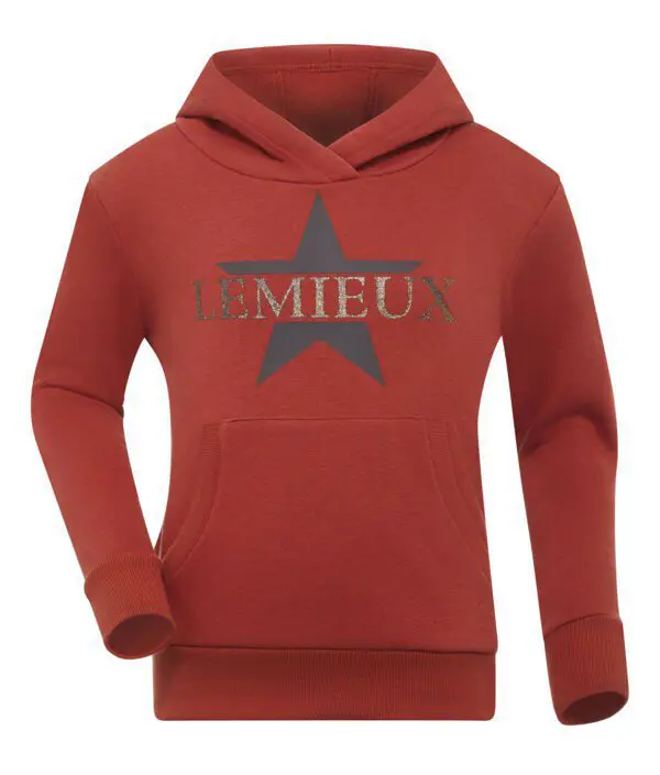 LMX Mini kids Hoodie - Afbeelding 2