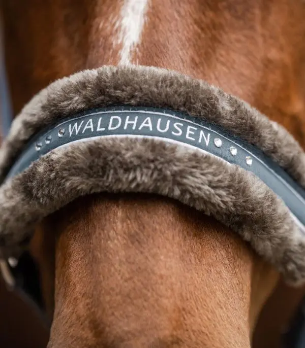 WH Halster Elegant - Afbeelding 5