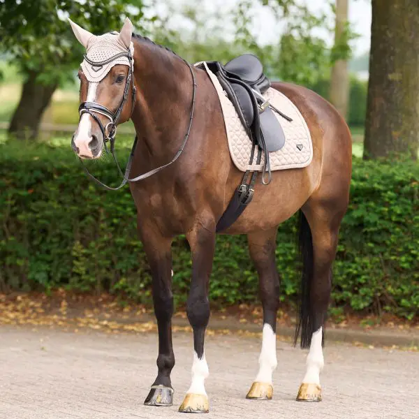 ES Saddlepad Cato Dressuur Full - Afbeelding 16