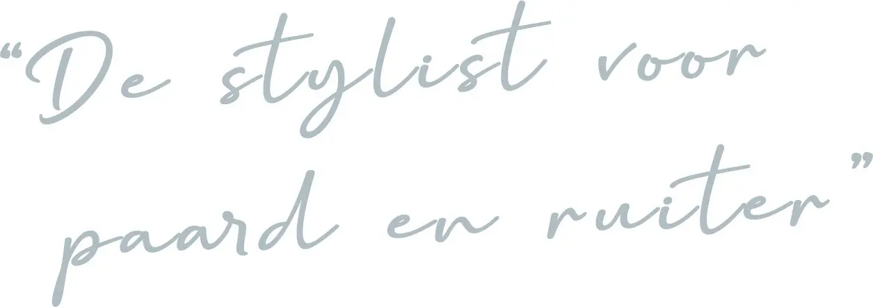 De stylist voor paard en ruiter