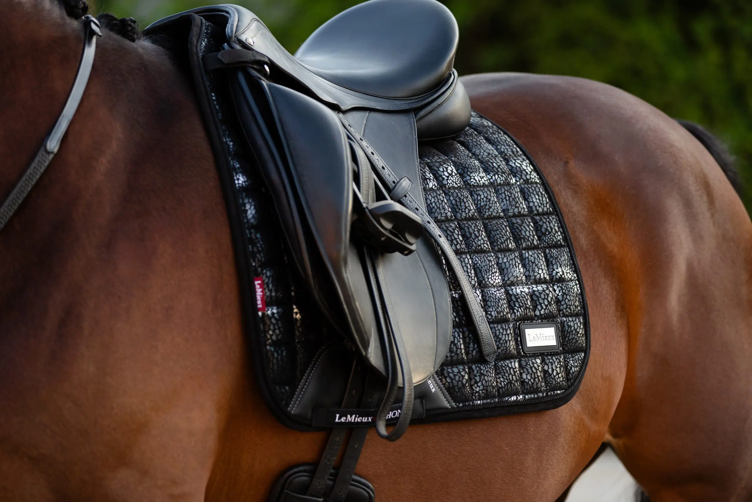 LMX Adour Dressage - Afbeelding 3