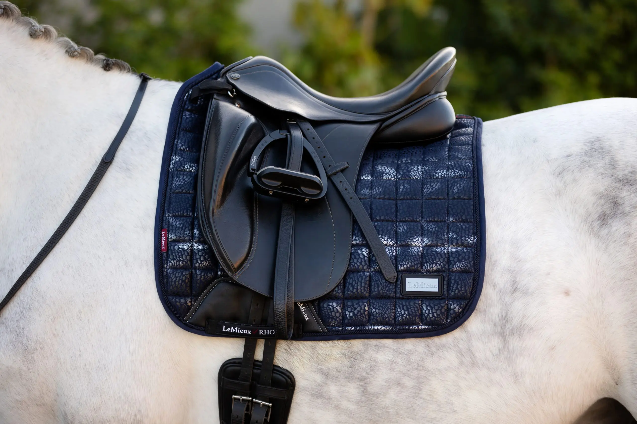 LMX Adour Dressage - Afbeelding 2