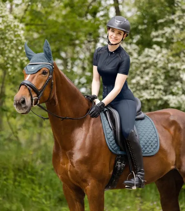 WH Zadeldek Pegasus - Afbeelding 2