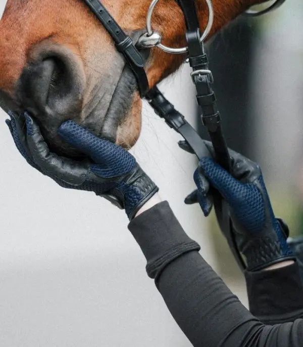 ELT Gloves Nantes - Afbeelding 3