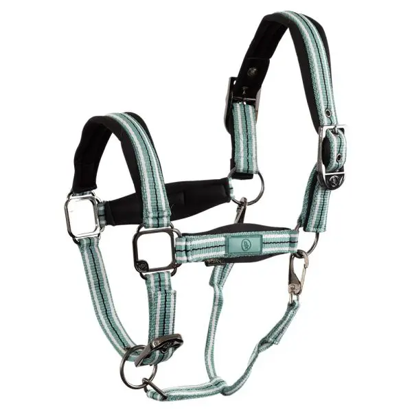 BR Halster Elvis neopreen - Afbeelding 3