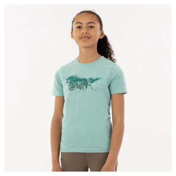 BR Eevolv Shirt Ebbe