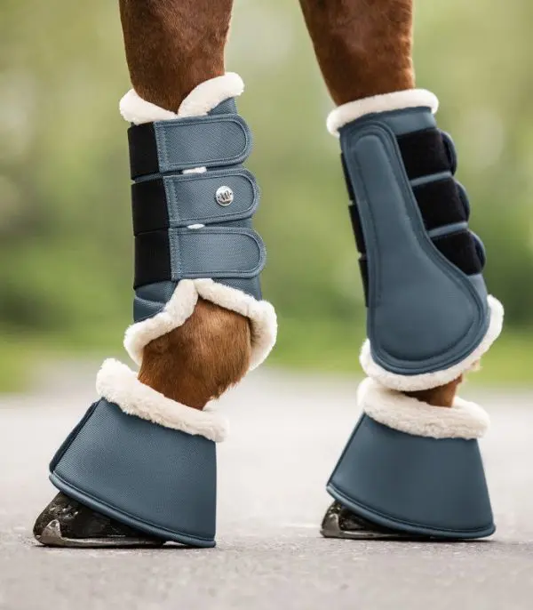 WH Dressage Boot Pegagus