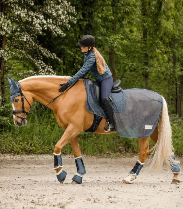 WH Dressage Boot Pegagus - Afbeelding 4