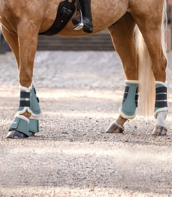 WH Comfort Dressage Boots - Afbeelding 3