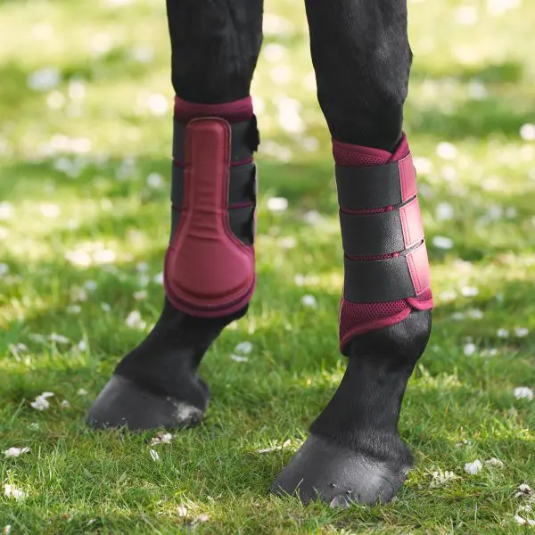 IR Beenbeschermers Cloud Dancer - Afbeelding 7