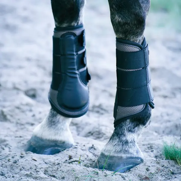 IR Beenbeschermers Cloud Dancer - Afbeelding 2
