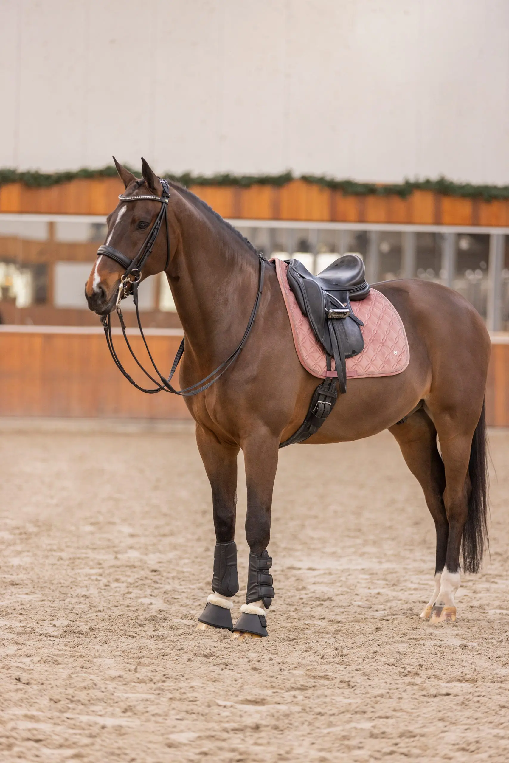 HVP Zadeldek Chavelle - Afbeelding 3