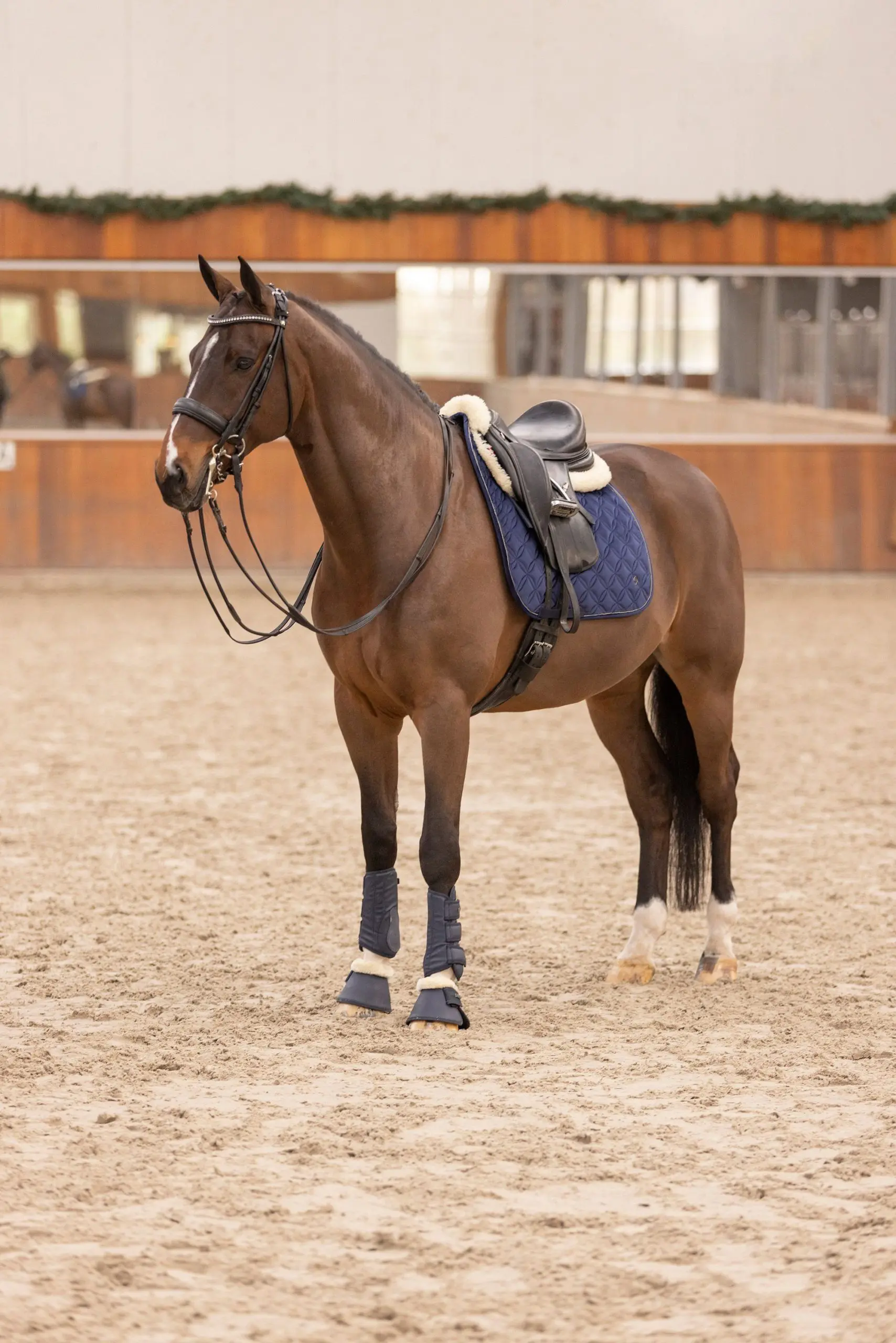 HVP Zadeldek Chavelle - Afbeelding 6