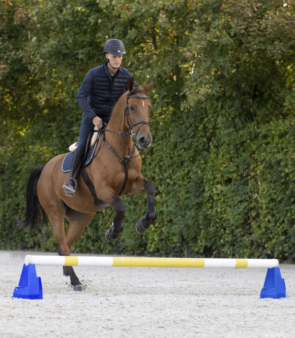 WH Cavaletti Block - Afbeelding 3