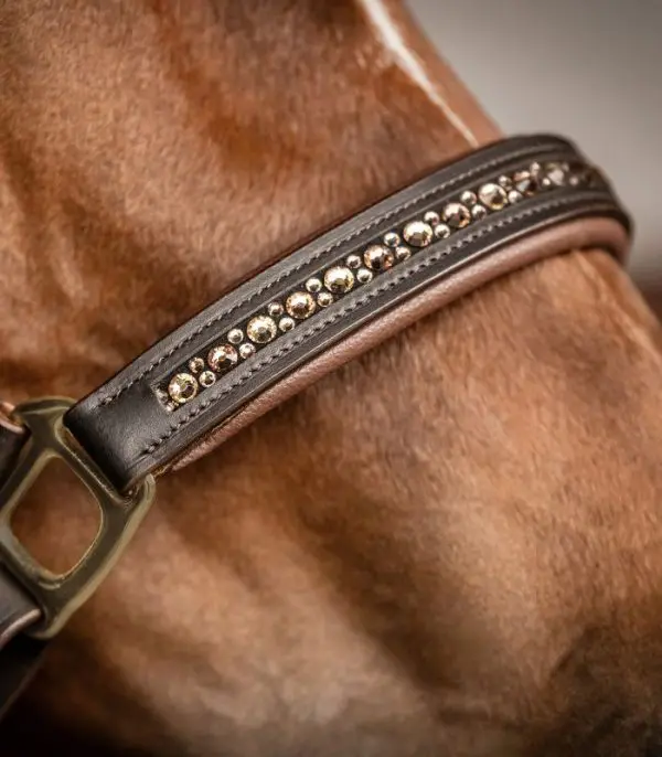 WH Crystal Leather Halter - Afbeelding 3