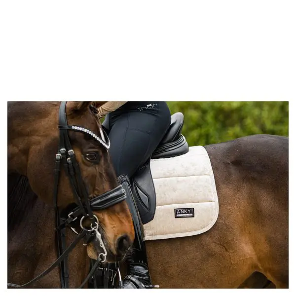 Anky Pad Jubilee - Afbeelding 10