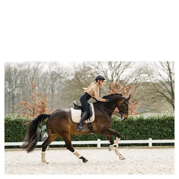 Anky Pad Jubilee - Afbeelding 8