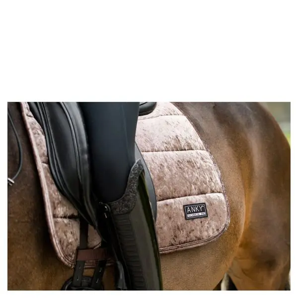 Anky Pad Jubilee - Afbeelding 4
