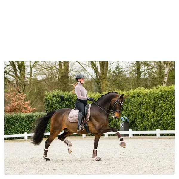 Anky Pad Jubilee - Afbeelding 3