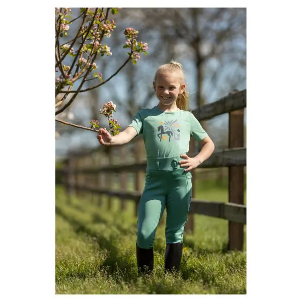 BR Mini Horse Tregging - Afbeelding 14