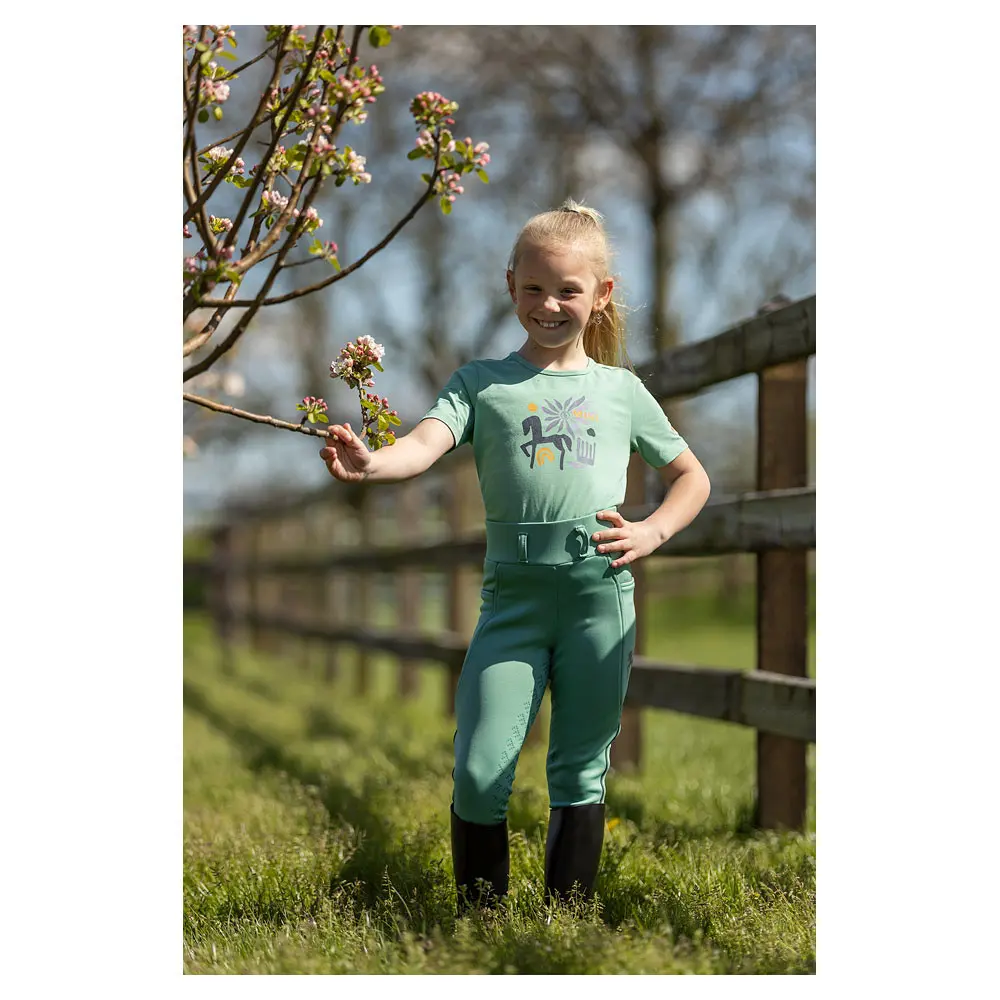 BR Mini Horse Tregging - Afbeelding 14