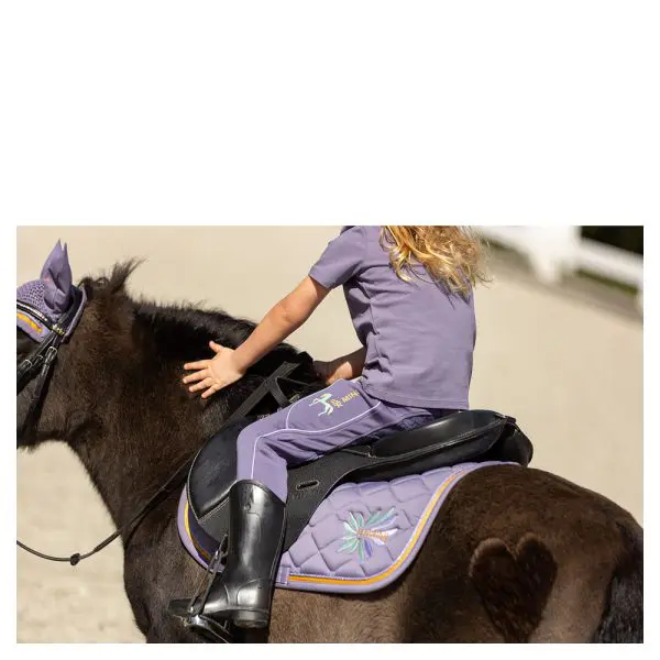 BR Mini Horse Tregging - Afbeelding 4