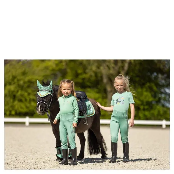 BR Mini Horse zip-up longsleeve - Afbeelding 8