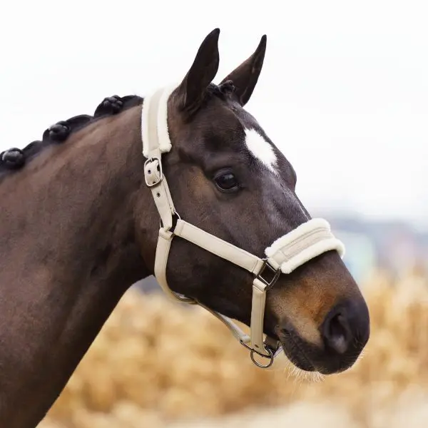 IR Halster Jewel - Afbeelding 2
