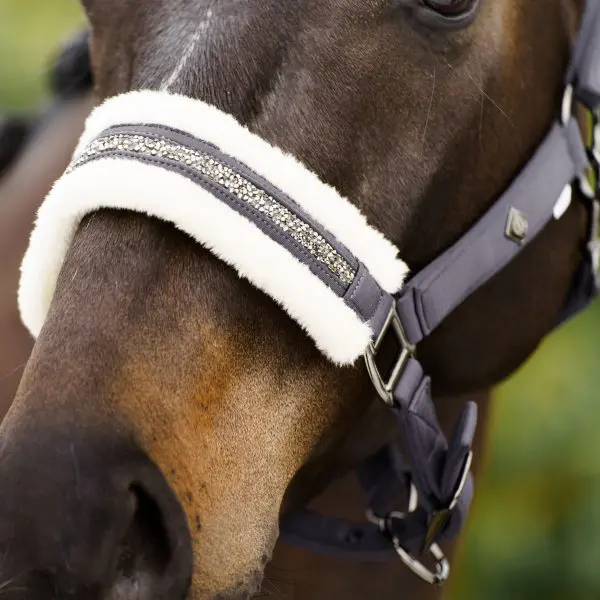 IR Halster Jewel - Afbeelding 3
