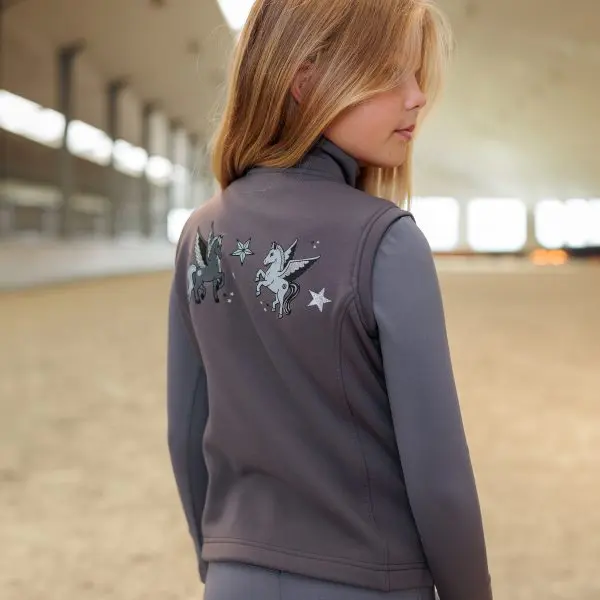 IR Bodywarmer Carry - Afbeelding 3