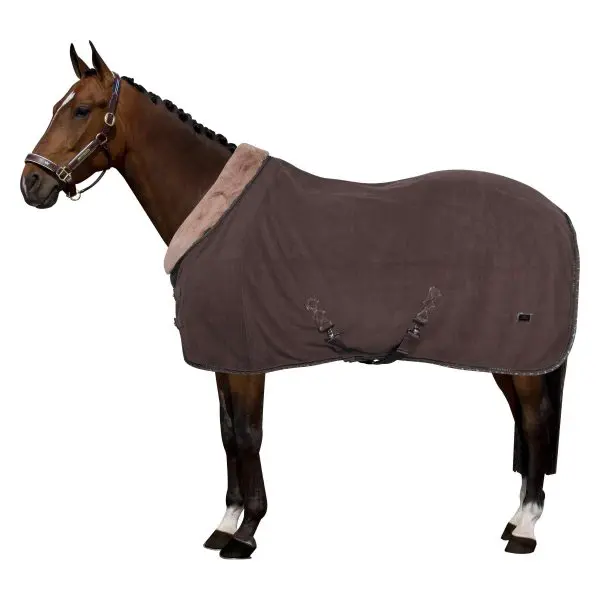 HVP Fleeceblanket Welmoed Shine