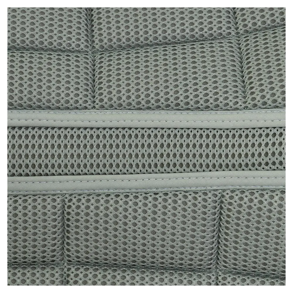 BR Zadeldek Idzard - Afbeelding 11