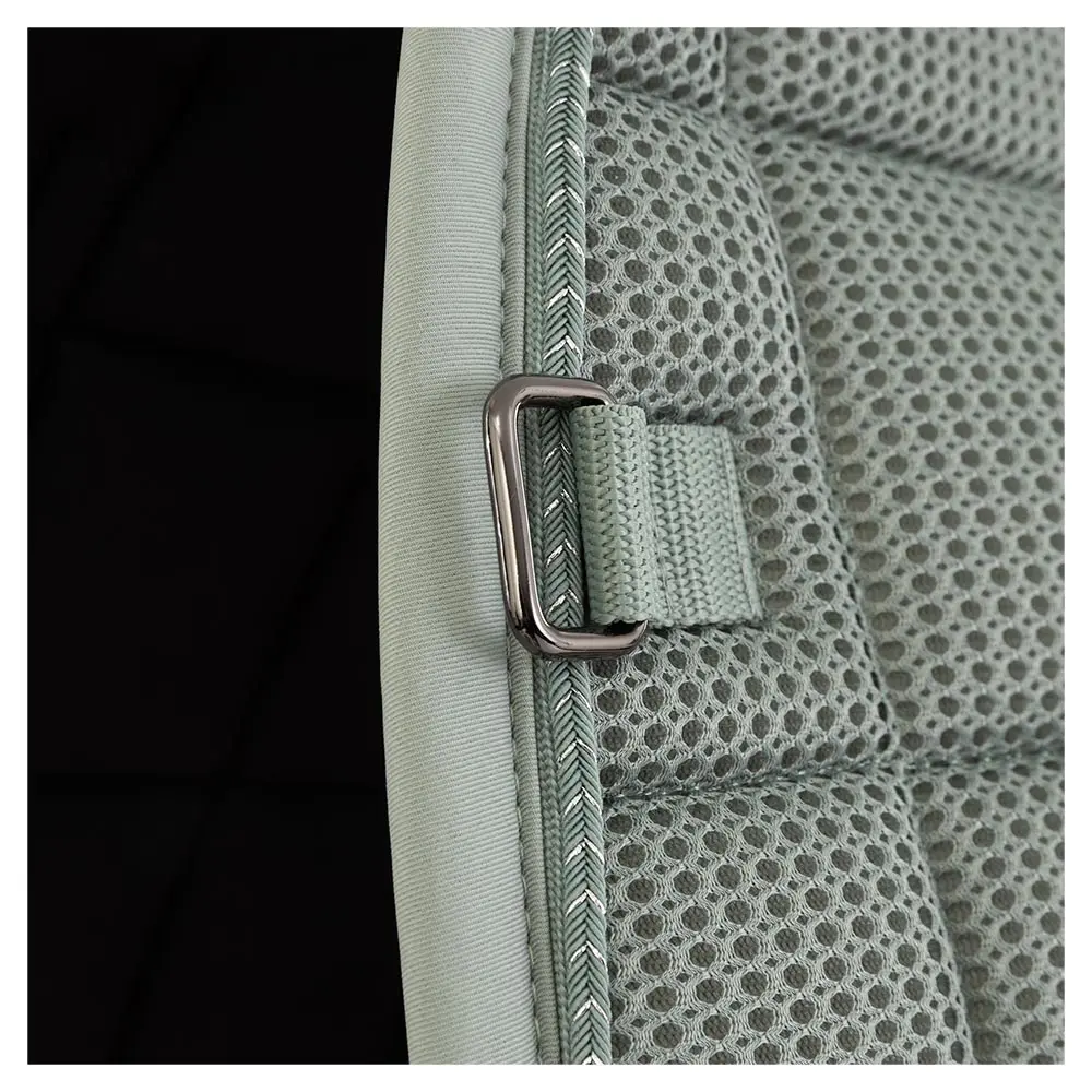 BR Zadeldek Idzard - Afbeelding 10