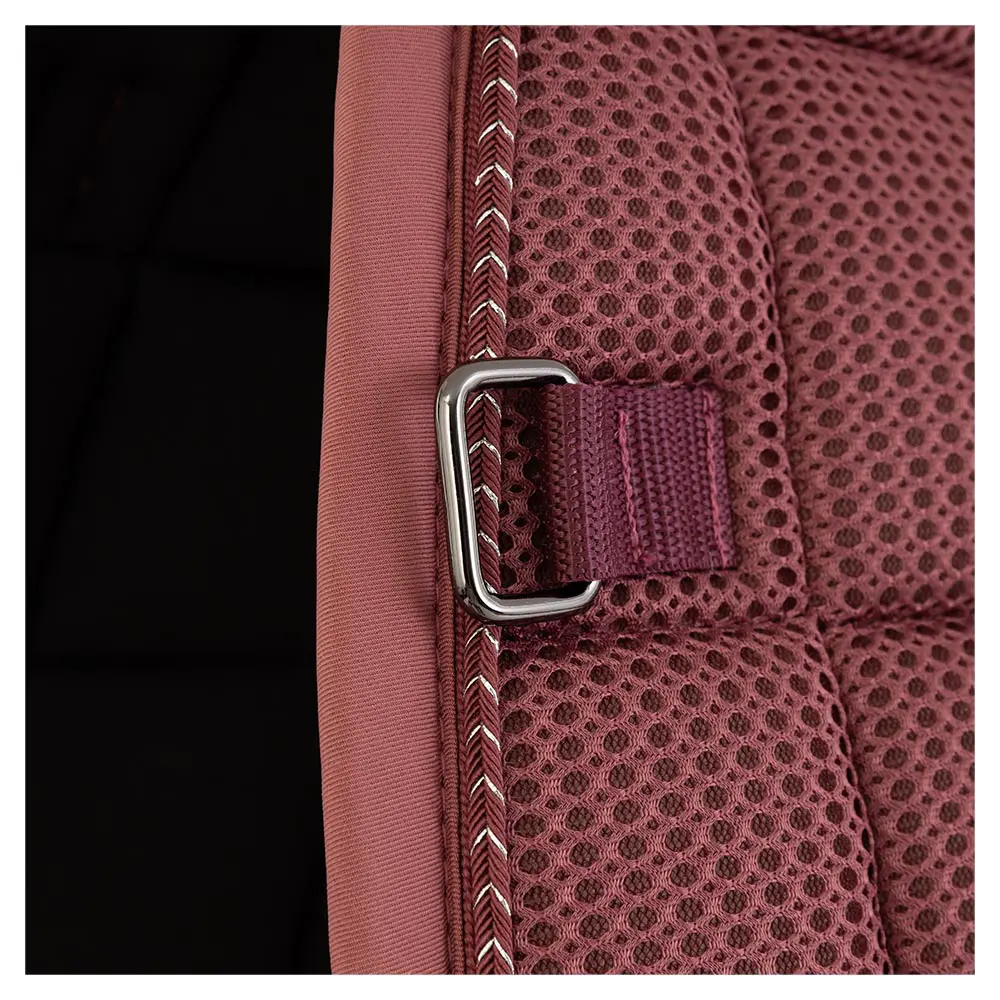 BR Zadeldek Idzard - Afbeelding 2