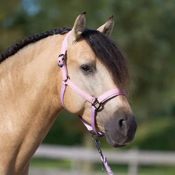 IR Halster IRHSparkle - Afbeelding 2