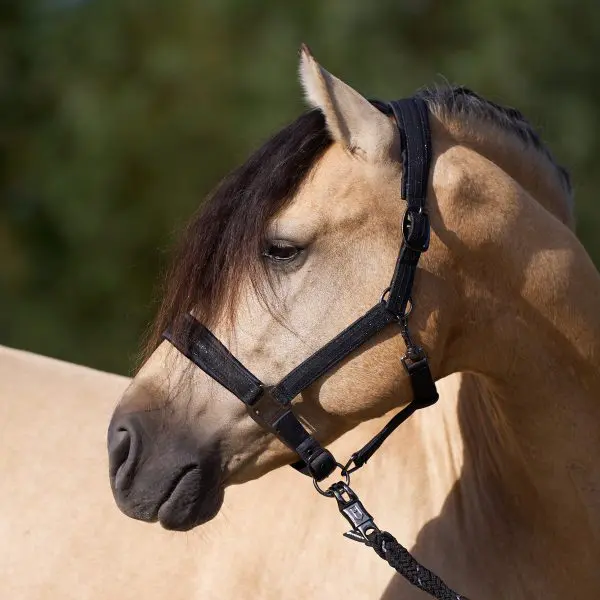 IR Halster IRHSparkle - Afbeelding 5