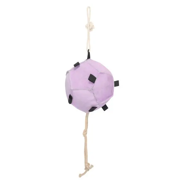 IR Horse Ball IRHVolley up