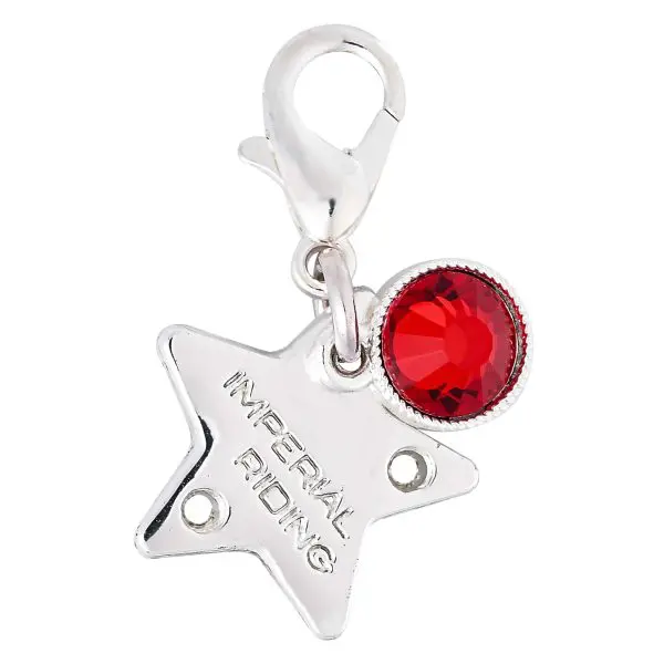 IR Bedels IRHBirthstone - Afbeelding 19