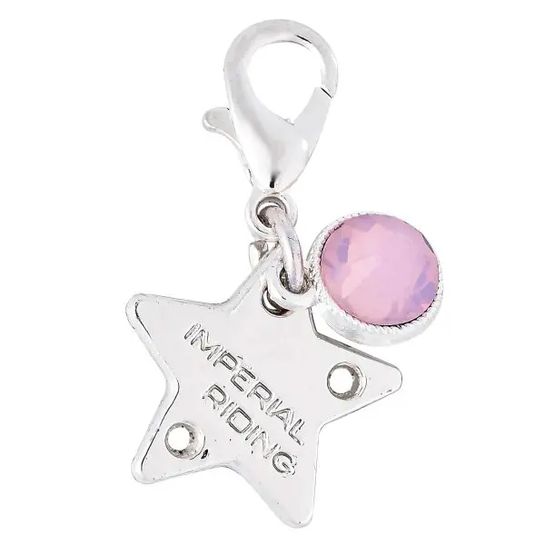IR Bedels IRHBirthstone - Afbeelding 18