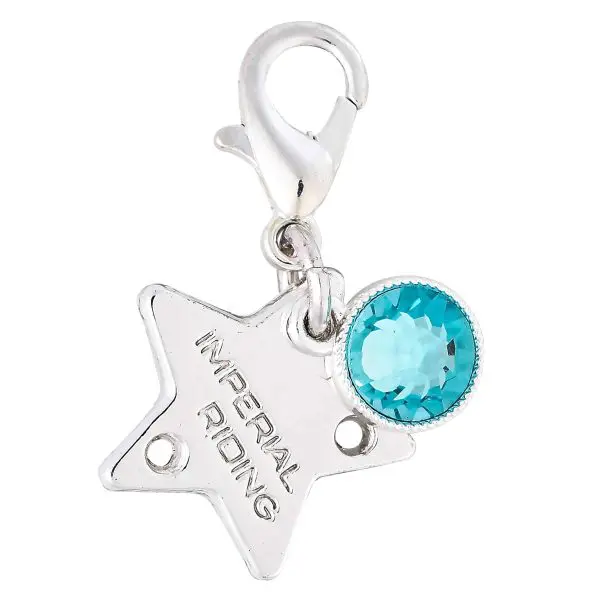 IR Bedels IRHBirthstone - Afbeelding 17