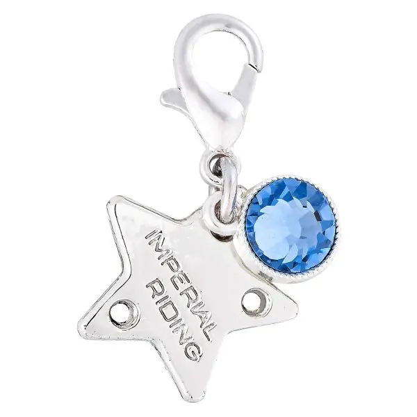 IR Bedels IRHBirthstone - Afbeelding 13