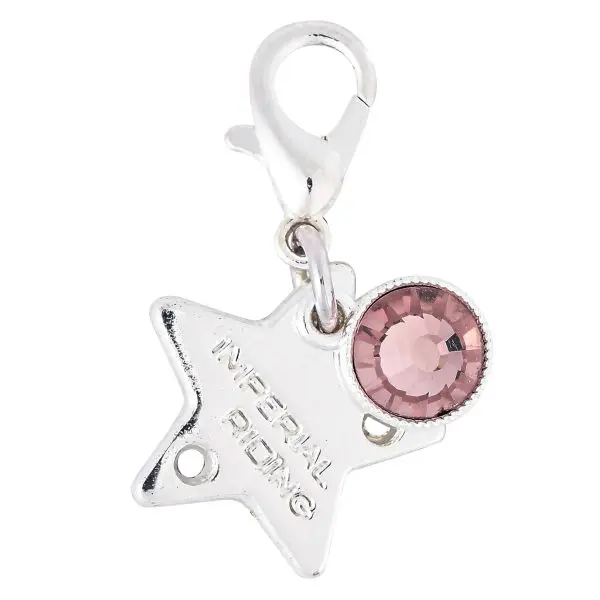 IR Bedels IRHBirthstone - Afbeelding 12